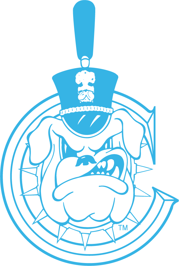 The Citadel Bulldogs 1987-2021 Alternate Logo DIY iron on transfer (heat transfer)